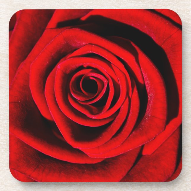 Deep in a Red Rose Drink Coaster (Front)