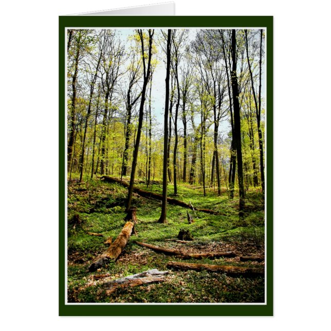 Deep In The Woods Cards (Front)