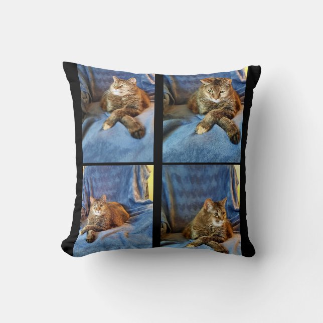 DEEP IN THOUGHT KITTY  THROW PILLOW (Front)