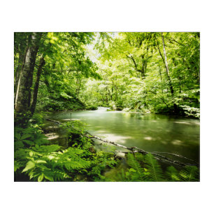 Deep Into the Forest Acrylic Print