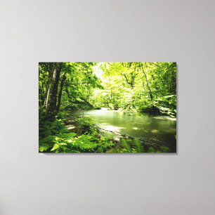 Deep Into the Forest Canvas Print