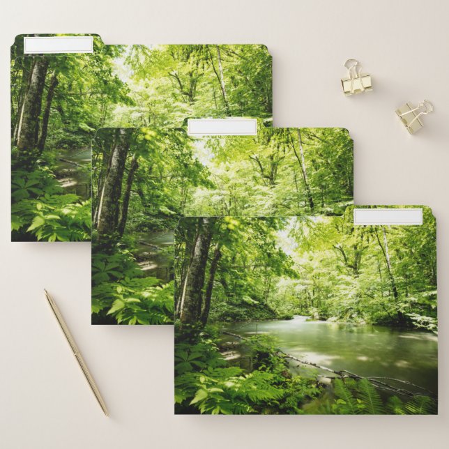 Deep Into the Forest File Folder (Set)
