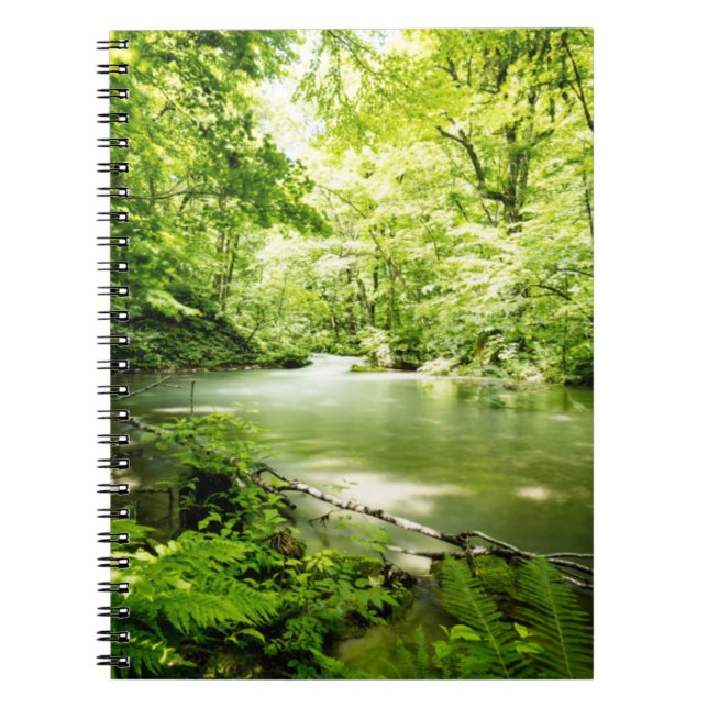 Deep Into the Forest Notebook (Front)