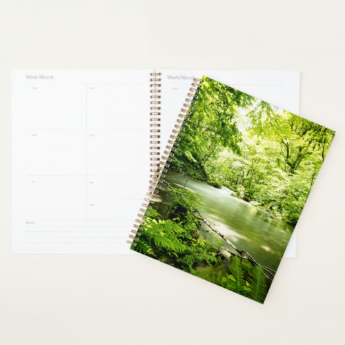 Deep Into the Forest Planner