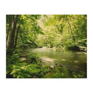 Deep Into the Forest Wood Wall Art