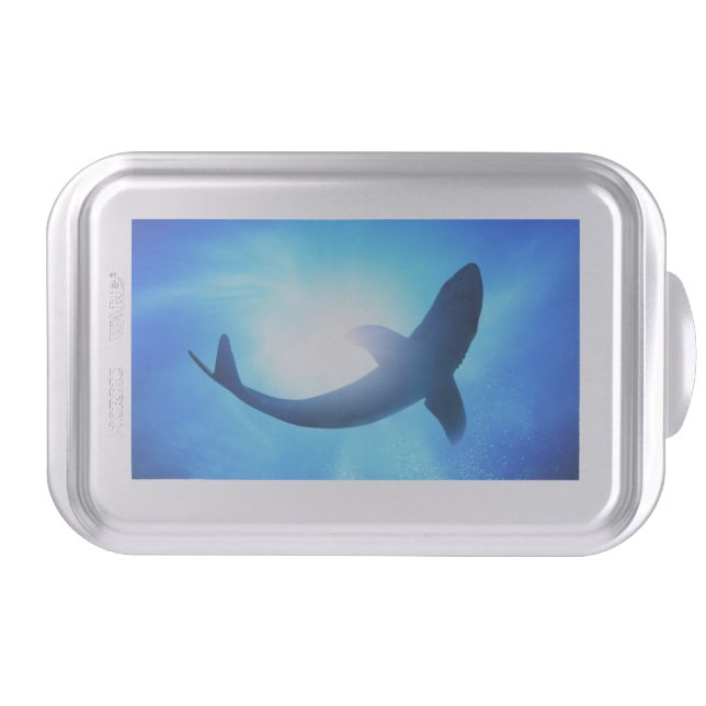 Deep Ocean Shark Silhouette Cake Pan (Front)
