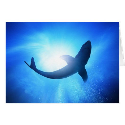 Deep Ocean Shark Silhouette Cards (Front Horizontal)