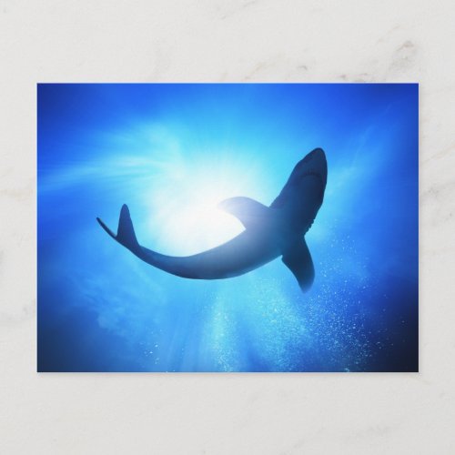 Deep Ocean Shark Silhouette Postcard