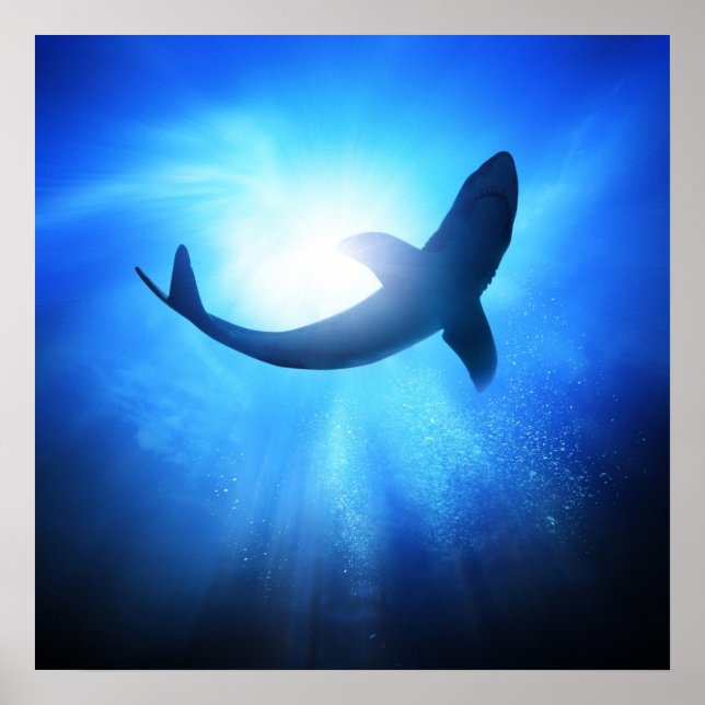 Deep Ocean Shark Silhouette Poster (Front)
