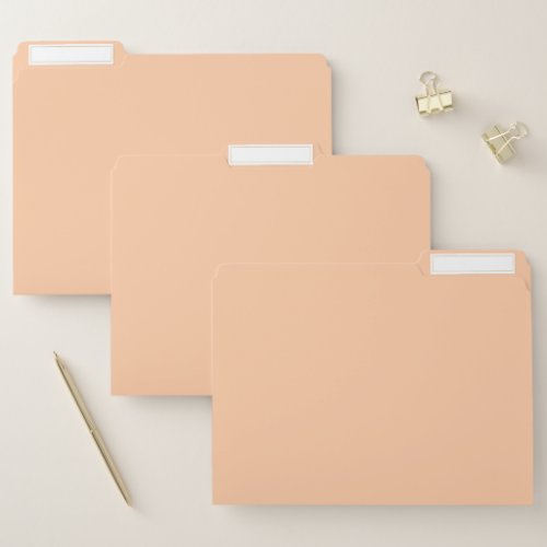 Deep Peach Solid Color File Folder