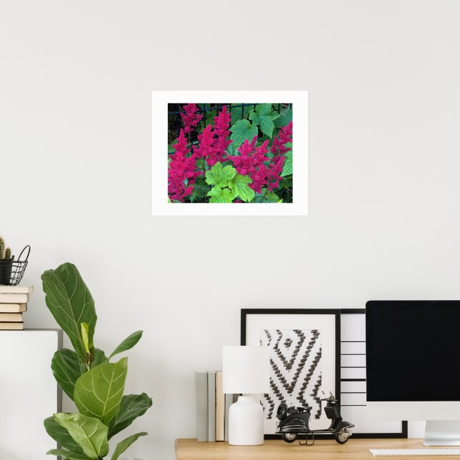 Deep Pink Astilbe Blooms Floral Poster (Home Office)