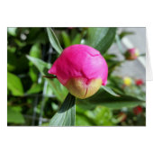 deep pink bud (Front Horizontal)