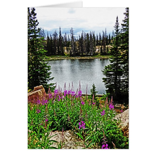 Deep Pink Flowers by Lake, Blank Inside Cards (Front)