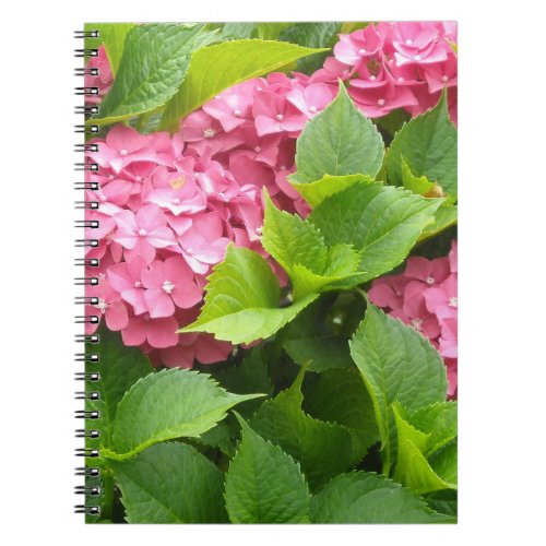 Deep Pink Hydrangeas Notebook