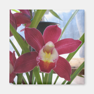 Deep Pink Orchid Magnet