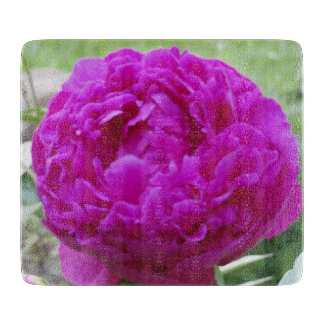 Deep pink peony small glass cutting board (Front)