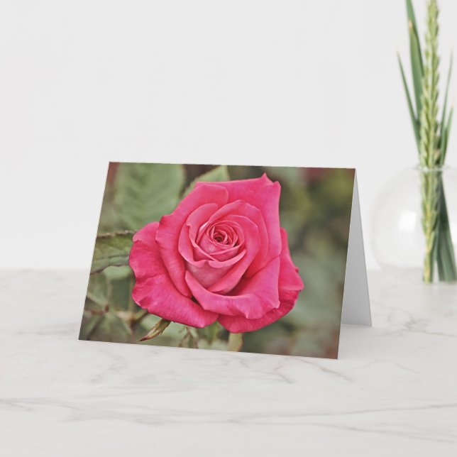 Deep Pink Rose Art Card (Front)
