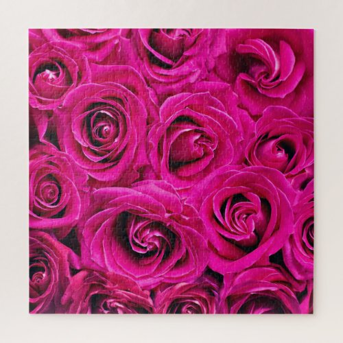 Deep Pink Roses Jigsaw Puzzle