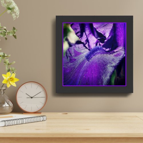 Deep Purple Bearded Iris Flower Petal  Framed Art