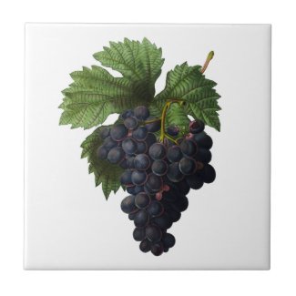 Deep Purple Grapes Redoute Ceramic Tile