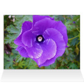 Deep Purple Hibiscus Flower, (Inside Horizontal (Top))