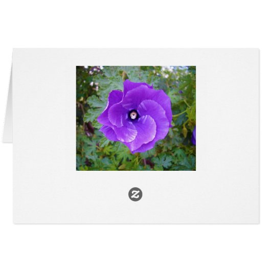 Deep Purple Hibiscus Flower, (Back Horizontal)