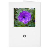 Deep Purple Hibiscus Flower, (Back)