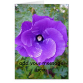 Deep Purple Hibiscus Flower, (Front)