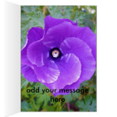 Deep Purple Hibiscus Flower, (Inside (Right))