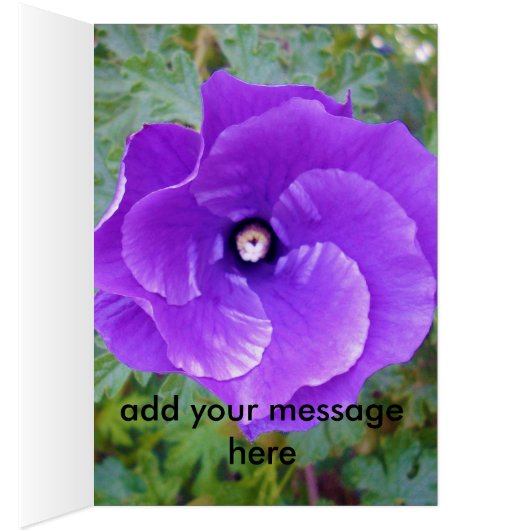 Deep Purple Hibiscus Flower, (Inside (Right))