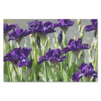 Deep Purple Irises Floral Tissue Paper