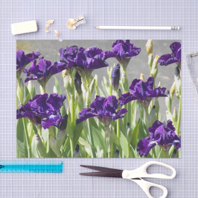 Deep Purple Irises Floral Tissue Paper (Craft)