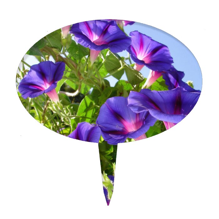 Deep Purple Morning Glory Climbing Plant Cake Topper