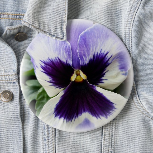 deep purple on white pansy button (In Situ)