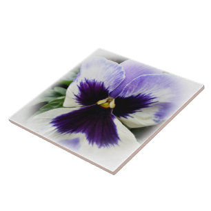 deep purple on white pansy ceramic tile