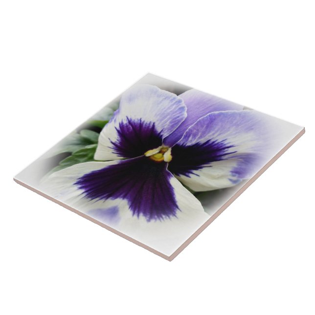 deep purple on white pansy ceramic tile (Side)