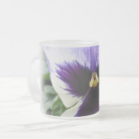 deep purple on white pansy