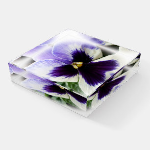 deep purple on white pansy paperweight