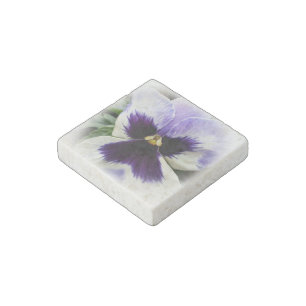 deep purple on white pansy stone magnet