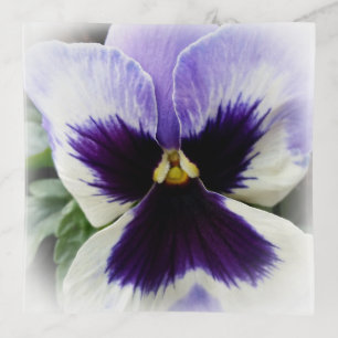 deep purple on white pansy trinket tray