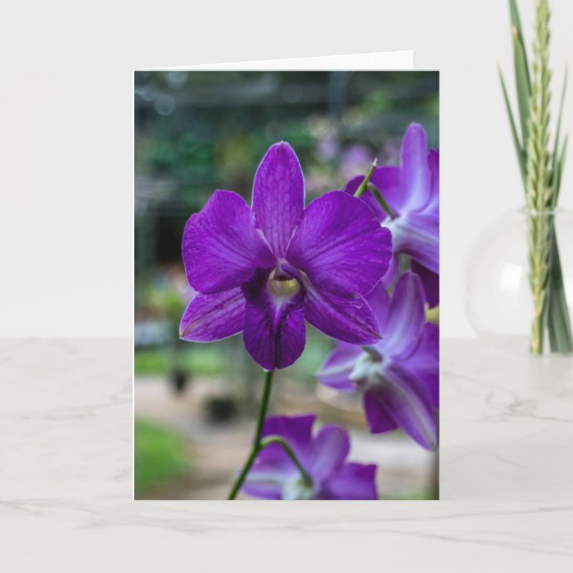 Deep Purple Orchid Customizable Greeting Card. Card (Front)
