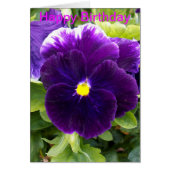 Deep Purple Pansy Birthday Card (Front)