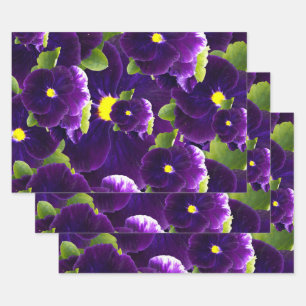 Deep Purple Pansy Bushes, Wrapping Paper Sheets
