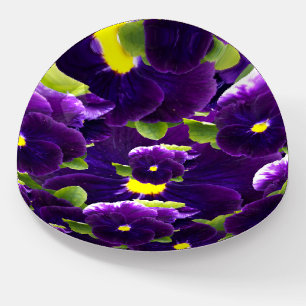 Deep Purple Pansy Clusters: Majestic Beauty Paperweight