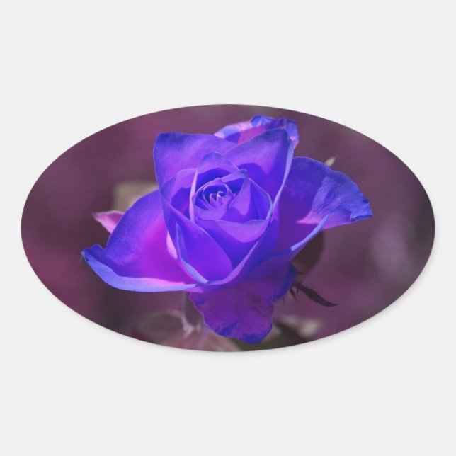 Deep Purple Rose Sticker (Front)