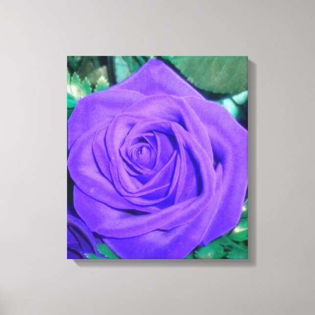 Deep Purple Rose Wrapped Canvas Print (Front)