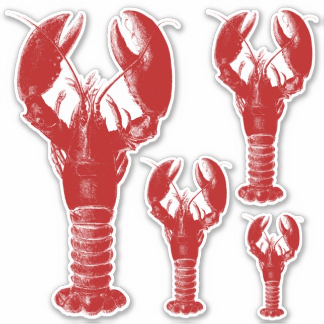 Deep Red and White Lobster Sticker (Front)