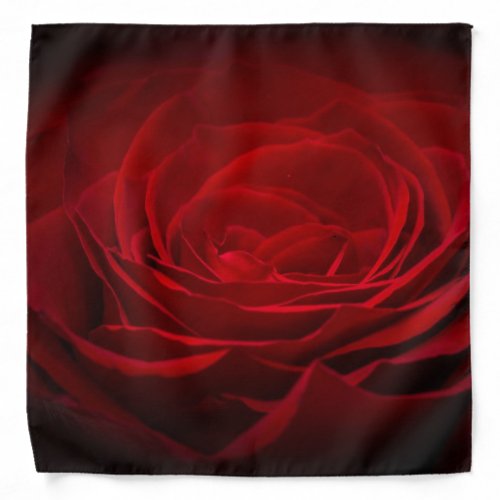 Deep Red Blood Rose On Black Bandana