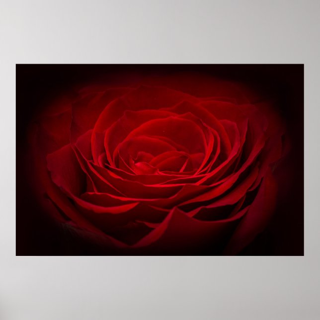 Deep Red Blood Rose On Black Poster (Front)