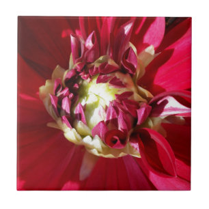 deep red bloom ceramic tile